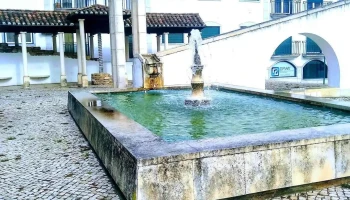 António M Lopes Moita - 2630-214 Arruda Dos Vinhos