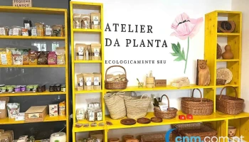 Atelier da Planta - Av. De São Miguel