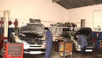 Autocloche - Lote 12