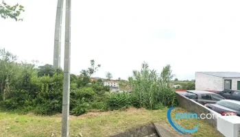 AutoNelsonCarreiro - Feteiras