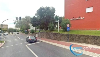 Bebe Mimus - Oeiras