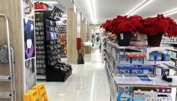 Bene Shop - Benedita