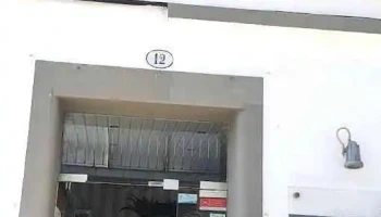 Branco Puro - Beja