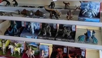 Castelo dos Brinquedos Lda - Mafra