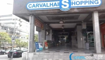 Deolinda Carvalho Alves - Santo Tirso
