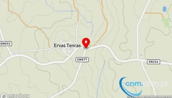 Ervas Tenras - Pinhel