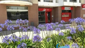 Loja Ctt - Sines