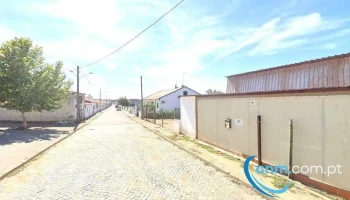 Maquilenhas salvada - Beja
