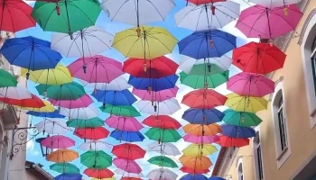 O Principezinho - Caldas Da Rainha