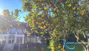 Ponto Ctt - Sintra