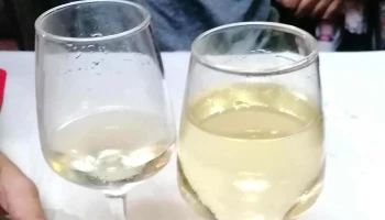 Restaurante alentejana - Gavião
