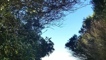 Silvalde - Espinho
