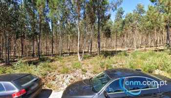 Turbolenhas - Reparação De Turbos E Veículos Automóveis, Lda. - 3720-479