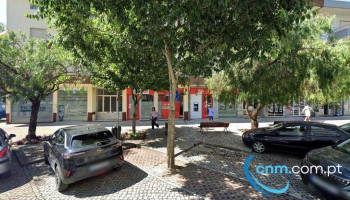 Zippy Kids - 2040-327 Rio Maior