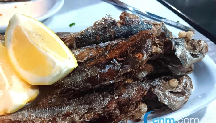 Aquarium -  Peixe Frito - Caniçal