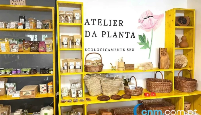 Atelier da Planta - Av. De São Miguel
