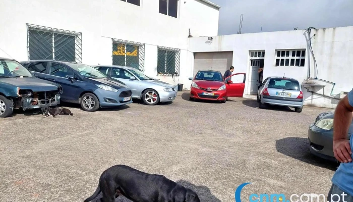 Auto Jeitinho - 9135-350 Camacha