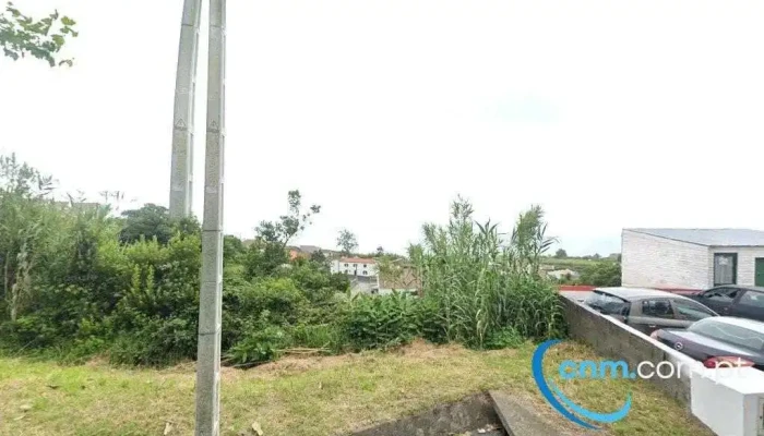 AutoNelsonCarreiro - Feteiras