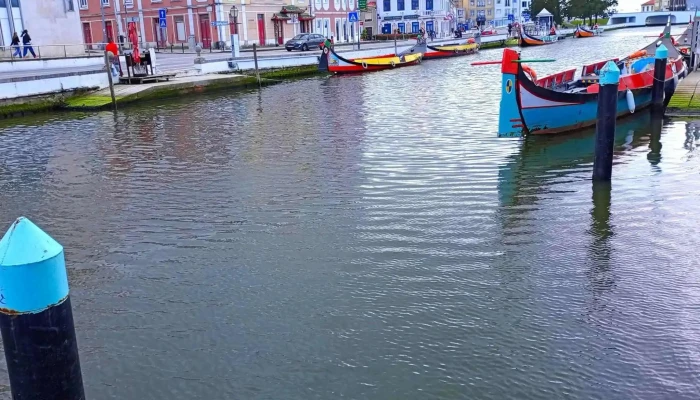 Aveiro -  Fotos - Oiã