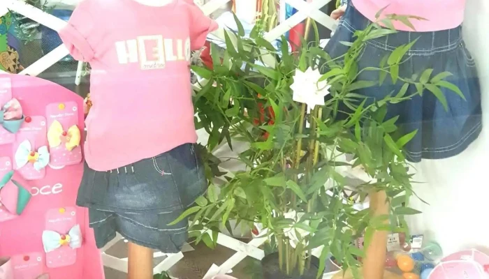Baby Bugs -  Brinquedo - Oeiras