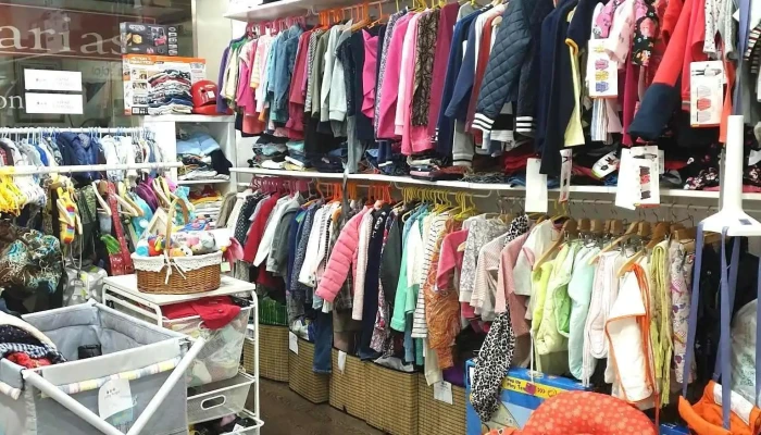 Baby Bugs -  Tudo - Oeiras