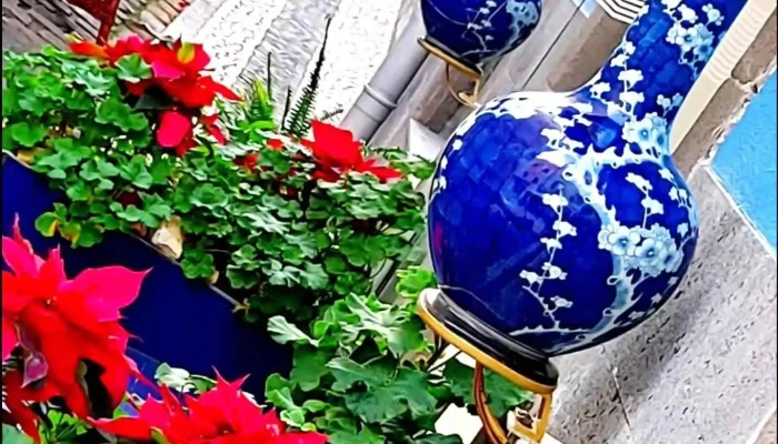 Bazar Do Povo -  Videos - Funchal