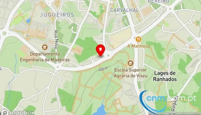 Bebe Maria Mapa - Viseu