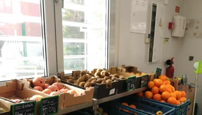 Biofrade   A Loja Da Horta Telefone - São Domingos De Rana