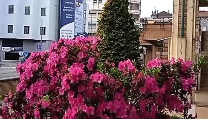 Braga -  Videos - Braga