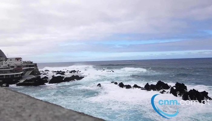 Cachalote -  Videos - Porto Moniz