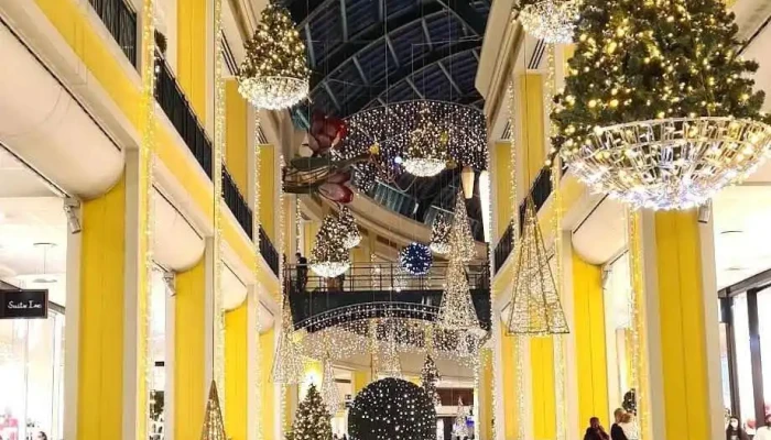 Calzedonia -  Tudo - Lisboa