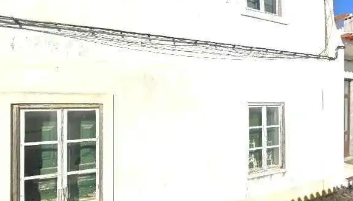 Casa Pinguim -  Tudo - Vidigueira