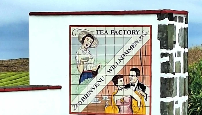 Cha Gorreana   Fabrica Como Chegar - Maia