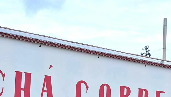 Cha Gorreana   Fabrica Fabricante De Cha - Maia