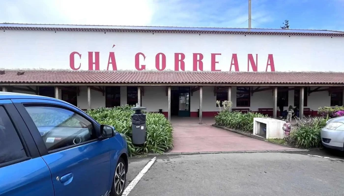 Cha Gorreana   Fabrica Opinioes - Maia