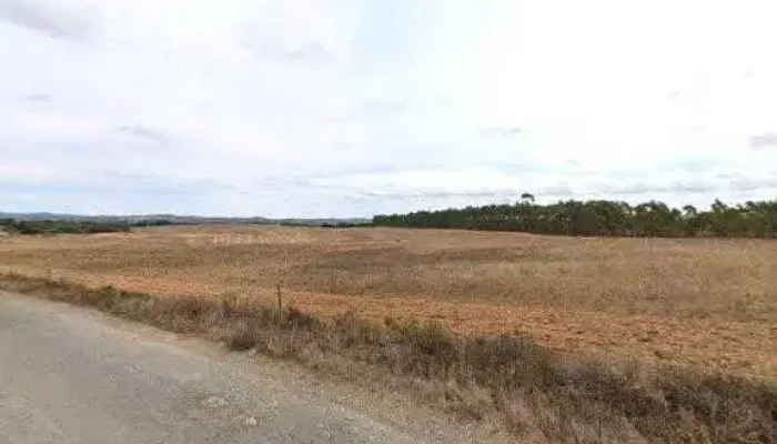 Cocoon Portugal -  Street View E 360deg - Estrada Nacional 393, Km 14.2