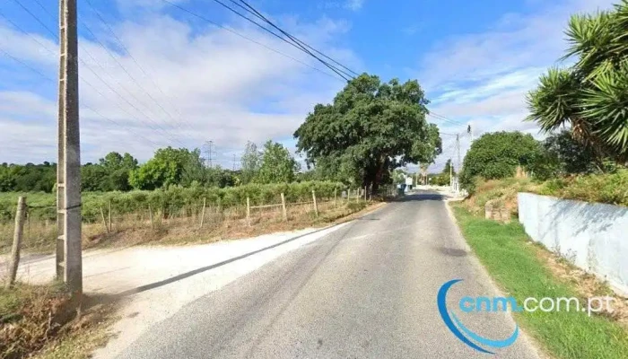 Colão - São Vicente Do Paul