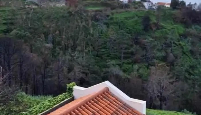 Colina Da Faja Videos - Estreito Da Calheta