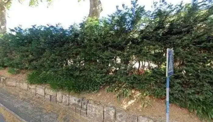 Correios Das Medas -  Tudo - Medas