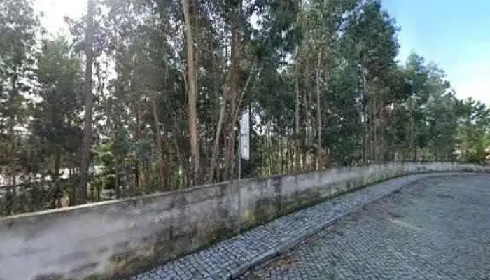 Ctt -    Sandim Tudo - Sandim