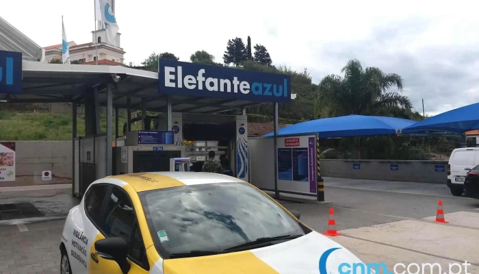 Elefante Azul São Martinho - São Martinho