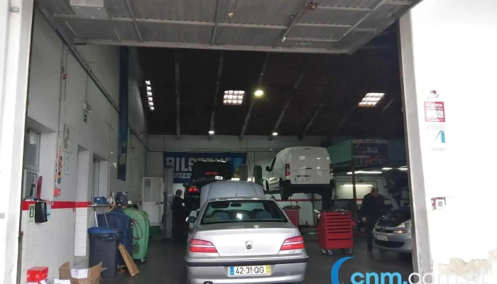 Evoperformance - 2560-592 Torres Vedras