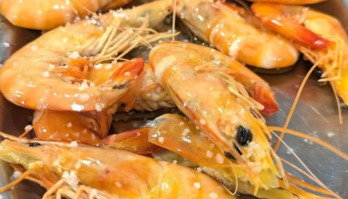 Florbela -  Camarao - Olival Basto
