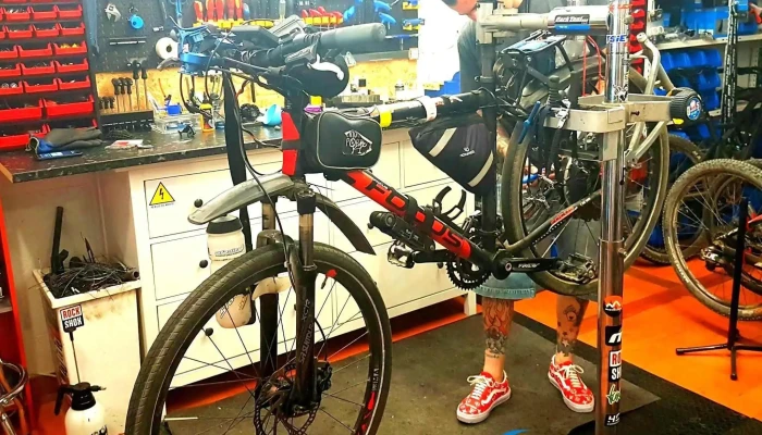 Flow Bike Shop -  Tudo - Sintra