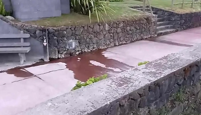Furnas -  Videos - Furnas