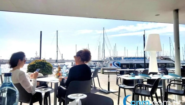 Futurismo Azores Adventures -  Interior - Ponta Delgada