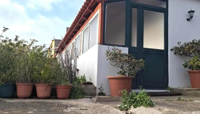 Hibiscus House In Madeira Island -  De Visitantes - Fajã Da Ovelha