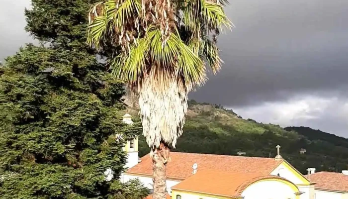 Hotel Sol E Serra -  Exterior - Castelo De Vide