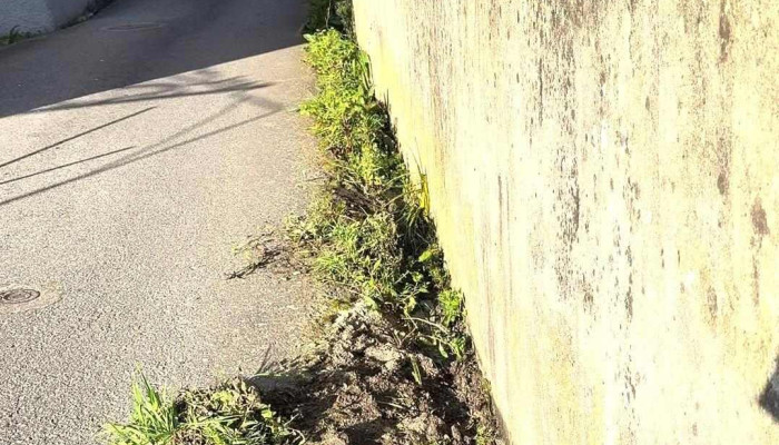 Junta De Freguesia De Silvalde -  Mais Recentes - Silvalde