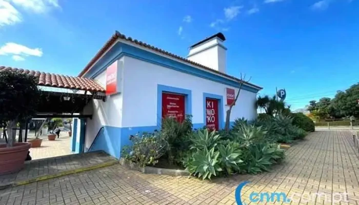 Kiwoko -    Mundo Animal Tudo - Funchal